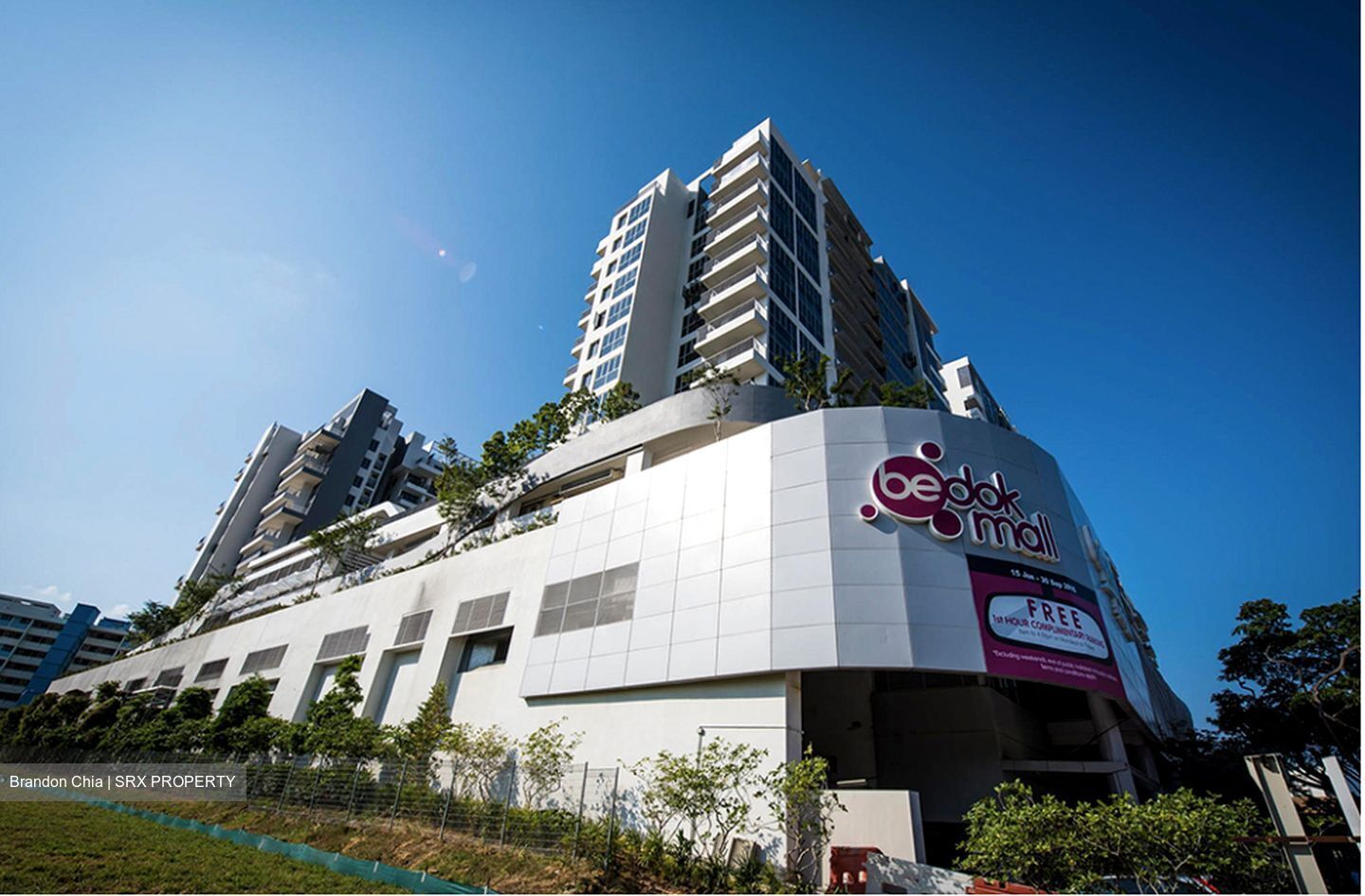Suites @ Eastcoast (D15), Condominium #330825191